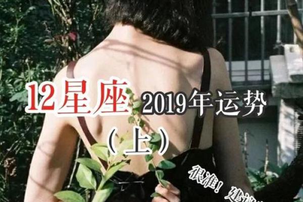 星座运势2o19