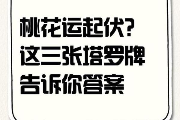 塔罗牌测试，单身贵族的八月桃花运