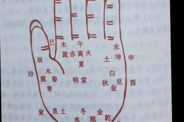 女人手纹算命图解,有福气的女人手相
