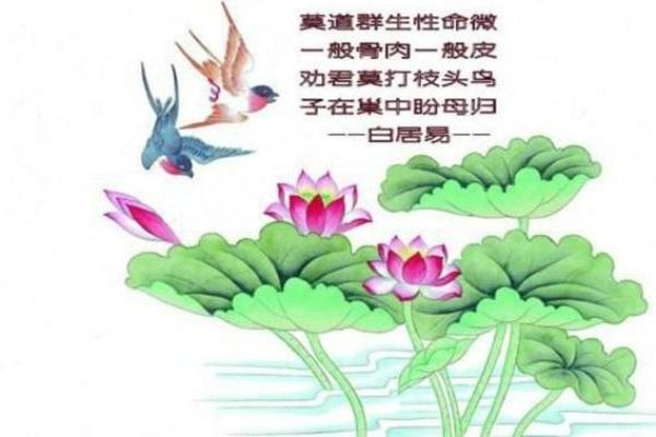 花轿在算命中是什么意思