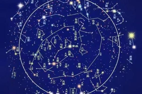 什么样的八字才算是紫薇星命