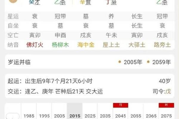 交运八字