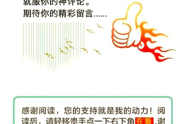 交运八字