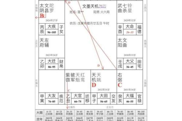 紫微斗数天相星在事业宫的解析 #东方星象学