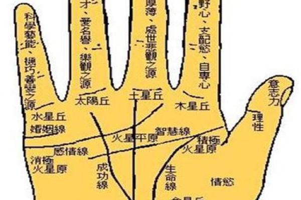 凯帝阿手相算命图解大全07
