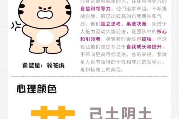 紫微斗数之交友宫与诸星，天府星在交友宫是什么意思？