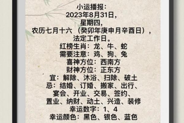 8月31日是什么星座