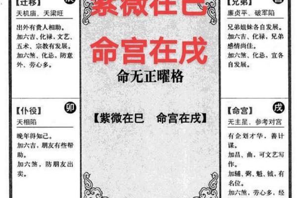 天相在命宫，紫微斗数天相星入命宫详解