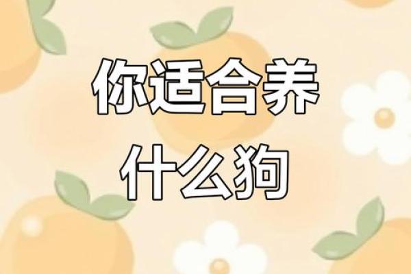 12星座该养哪种犬