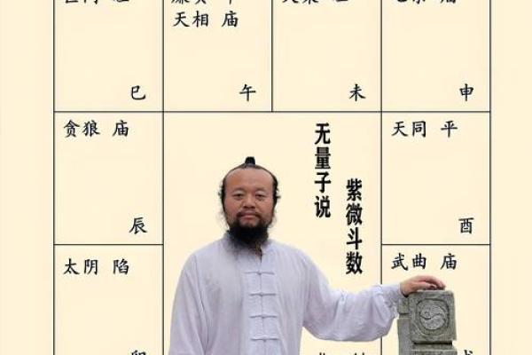 紫薇斗数安大限诀
