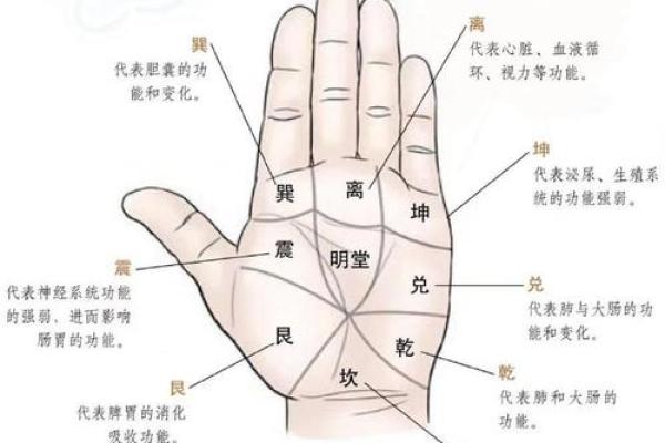 手纹算命图解【高清】