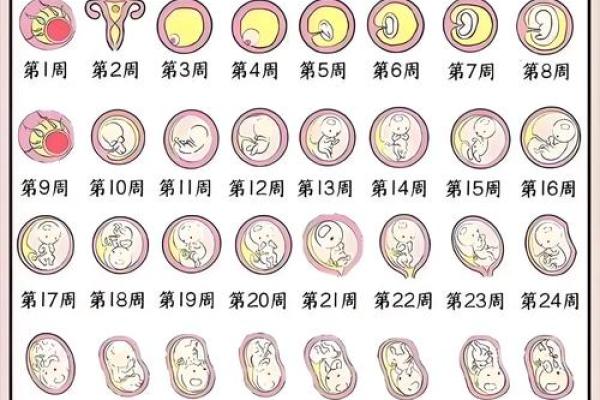 怀孕能算命吗