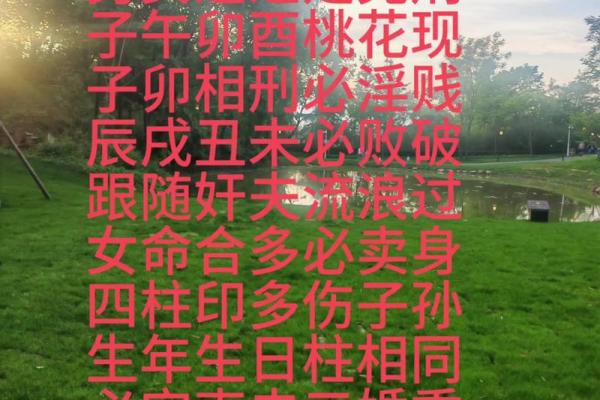 风水八字纯阳女命为什么可怕解释观点
