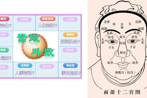 紫薇斗数中华之一神府