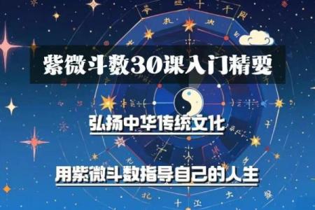 紫微斗数开班 紫微斗数入门教学讲座视频？