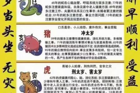 风水知识一点通！躲星与犯太岁的区别