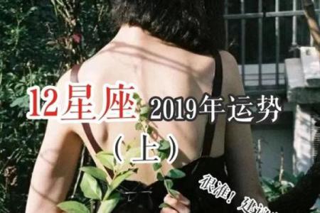 星座运势2o19