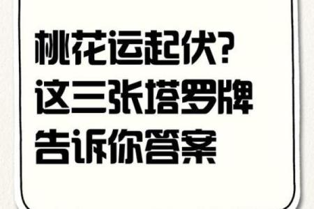 塔罗牌测试，单身贵族的八月桃花运