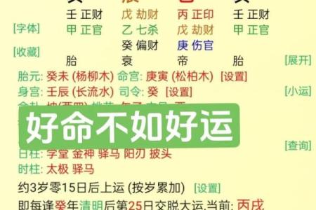 八字木火为用神