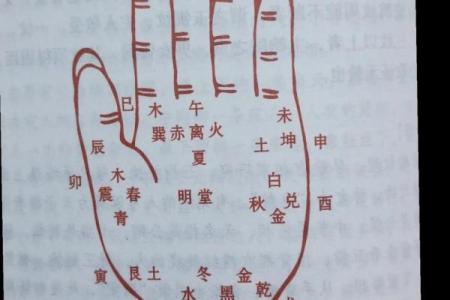 女人手纹算命图解,有福气的女人手相