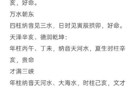 八字大海水命