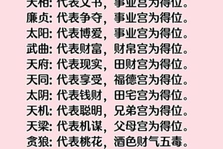 周公紫薇斗数