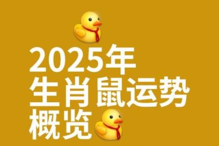 240812_今年下半年生肖属鼠的运势三 #八字