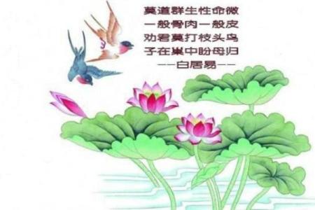 花轿在算命中是什么意思