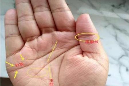 凯帝阿手相算命图解大全07
