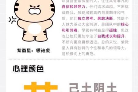 紫微斗数之交友宫与诸星，天府星在交友宫是什么意思？