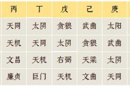 紫薇斗数安大限诀