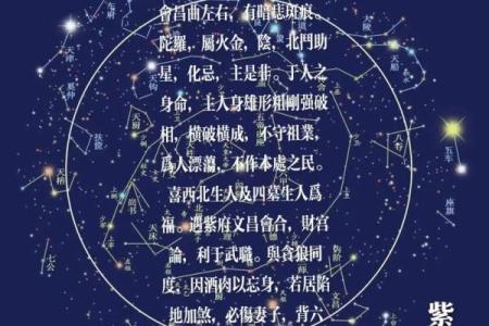 紫薇斗数四墓宫