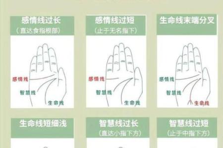 手纹算命图解【高清】