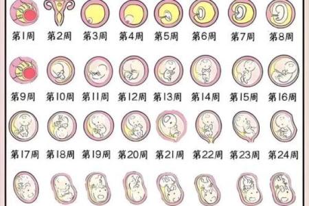 怀孕能算命吗