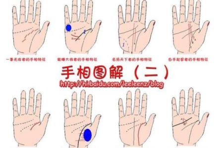 手相算命：几种重要的手纹图解