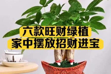 家居招财旺财的风水方法有哪些