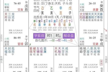 紫薇斗数安卓
