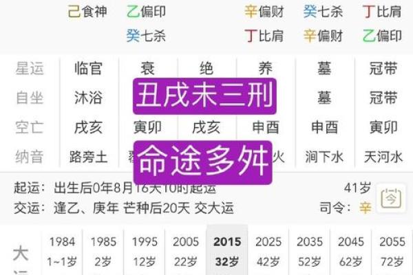 甲戌丙子己卯乙丑八字详解及运势分析