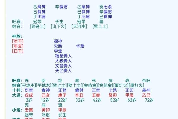 八字十二地支详解
