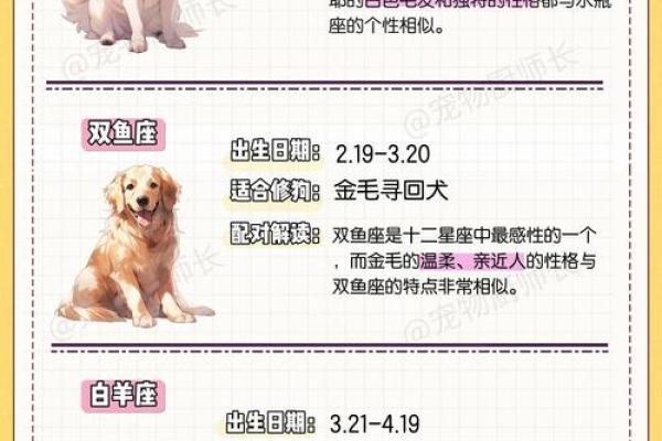 12星座应该养哪种狗狗