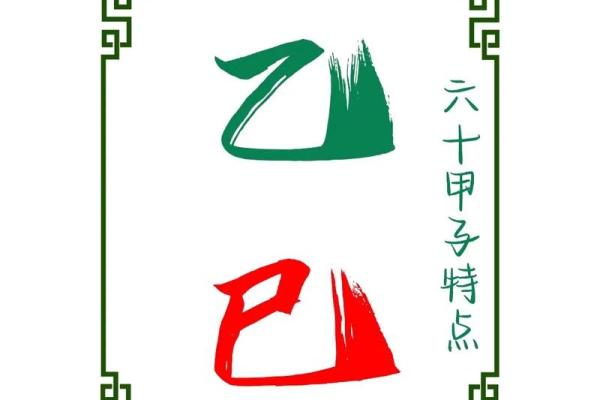 八字乙巳日
