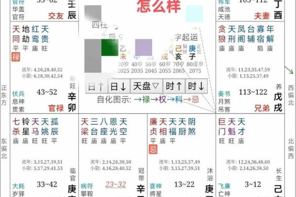 大数据紫薇斗数