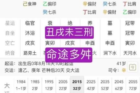 甲戌丙子己卯乙丑八字详解及运势分析