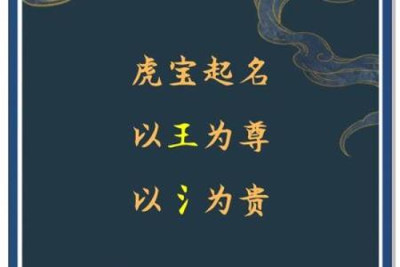 凌晨2点出生的属虎男孩如何起名，宜用什么字姓名