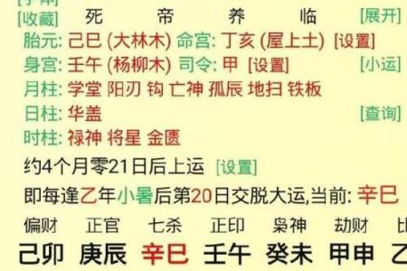 八字身旺财杀两透