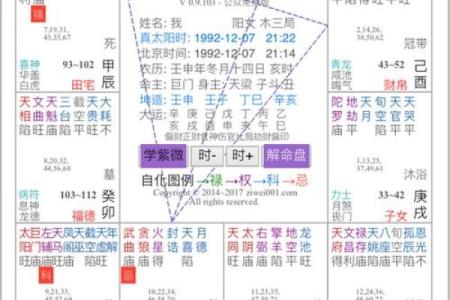 紫薇斗数网站在线排盘