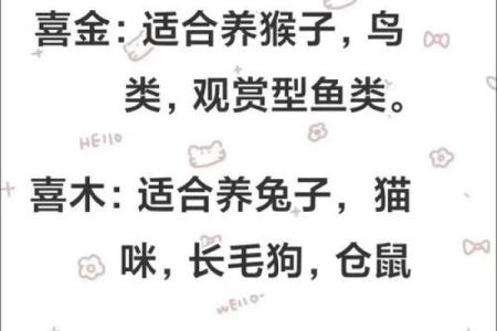八字喜火取名字用什么