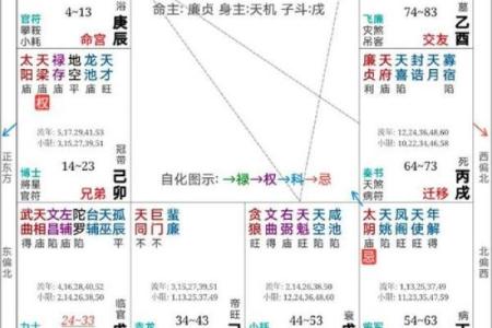 紫微斗数杀破狼 紫微斗数？