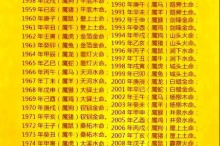 财运好八字