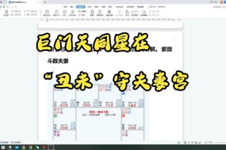 紫微斗数之子女宫与诸星，巨门星在子女宫是什么意思？